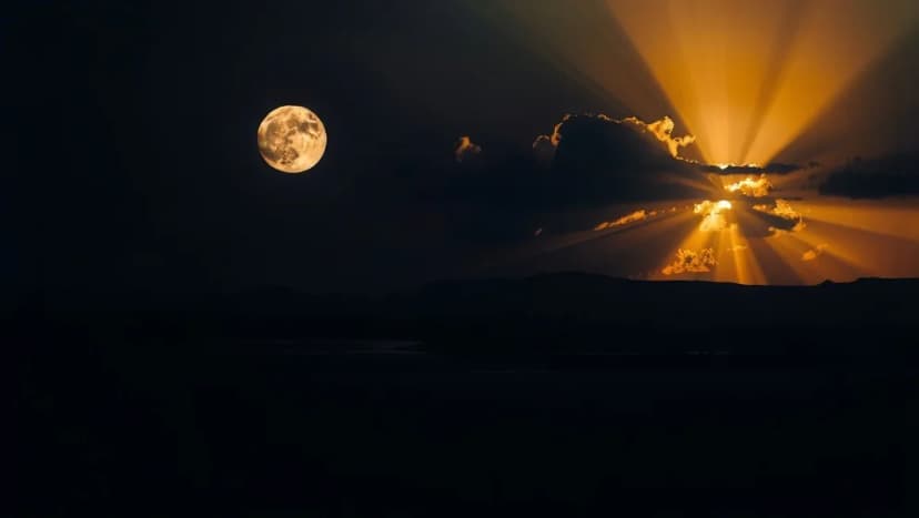 Text till Carola Standertskjöld Måne och Sol